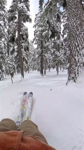 Skiing at Mt. Bachelor: A Day at the Bottom of the Cone
