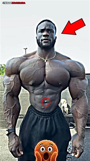 𝗦𝗻𝗮𝗽 𝗠𝗮𝗿𝗼𝗺𝗯𝗮 on Instagram: "@dan_ifbbpro"