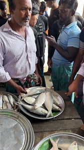 31K views · 381 reactions | Live River Hilsha Fish Auction | Fishing & Village Tradition | Facebook