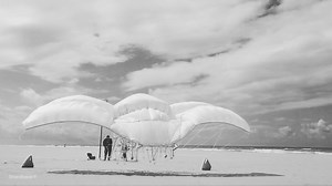 27 reactions | Throwback 2020: animaris Ader, first flying strandbeest #theojansenstrandbeest #strandbeest #dutchcoast | Theo Jansen | Facebook