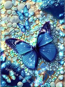 Butterflies | Gifs, Vids & Music Etc