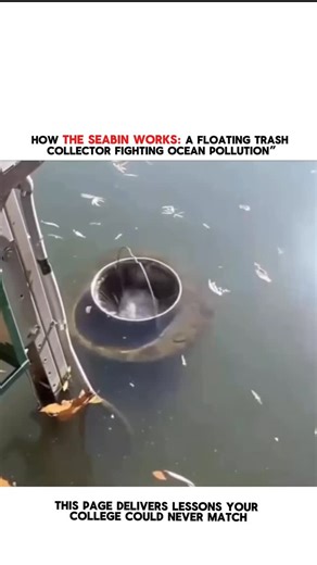 Great minds🧠 on Instagram: "This is a Seabin — a simple yet powerful floating trash collector designed to help clean our oceans, marinas, and waterways. 🌊♻️ Installed in calm waters like harbors and docks, the Seabin works 24/7 by skimming the surface and filtering the water below, capturing plastic waste, microplastics, oil residue, and floating debris before they drift out to sea. It’s like a trash can for the ocean, but with a much bigger mission. Every piece of plastic collected is one les