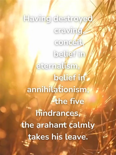 Words of Wisdom number 295 | quoted from 423 Golden Words of Buddha/Dhammapada #karma #dhammapada #buddha #compassion #love #health #happiness