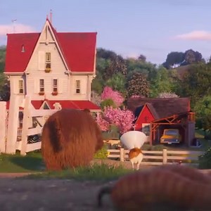 11K views · 422 reactions | Neurotic? Who’s neurotic? | The Secret Life Of Pets | Facebook