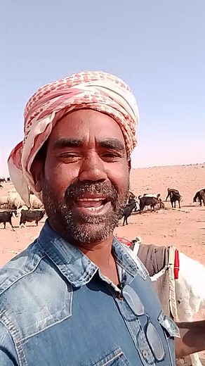 #sueb suem | Shueb Shueb