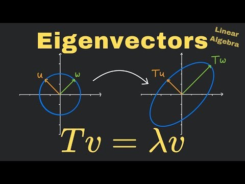 What are Eigenvalues and Eigenvectors? | Linear Algebra Basics