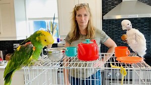 198K views · 1K reactions | So, after all the disastrous Tea Parties, I had to send Coco to school to learn some manners. Here she is with her tea party  ☕️  So silly lol | Lucky Lou and Coco Too | Facebook