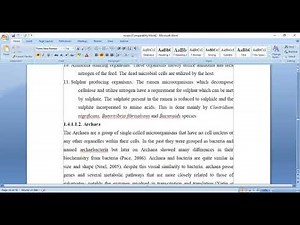 Rumen microorganism and Carbohydrate digestion