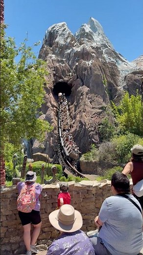 Expedition Everest Big Drop in 4K 120FPS | Animal Kingdom