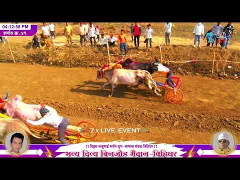 साई गावाचा सुंदर आणि निळजेचा सम्राट बिनजोड च्या गुलालाचा मानकरी