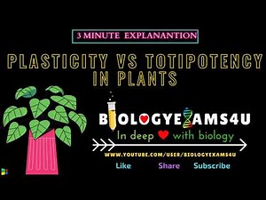 Difference between Plasticity and Totipotency in Plant Tissue Culture