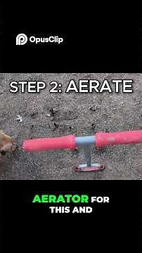 Why Your Yard Stays Muddy (Fix the Drainage First)