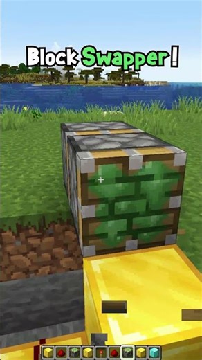 Minecraft Block Swapper (CONFESS YOUR LOVE FUNK) #minecraft #shorts