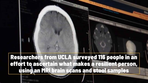 What Makes Someone Resilient? The Brain & Gut May Have Answers