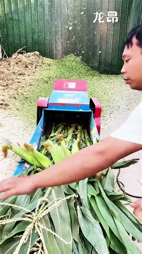 Corn maize whole corn stalk crusher cutter machine #fcnfm #farmmachine
