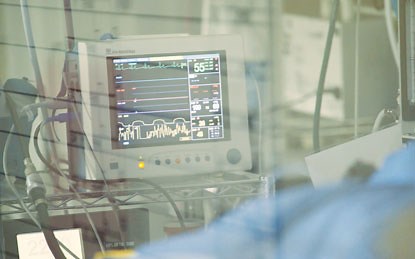 Cardiology - Boundary Bay Veterinary Specialty Hospital