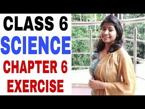 Class 6 Science Chapter 6 Exercise || CBSE Board || Prachi || Changes Around Us (Part 3)