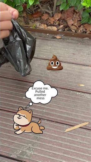 The BEST Retractable Dog Leash? 32ft Heavy-Duty Review & Test! #pecute #dogleash