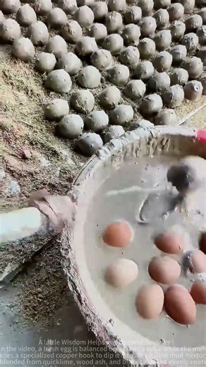 Egg processing method step by step #shorts #foodprocessing #eggs