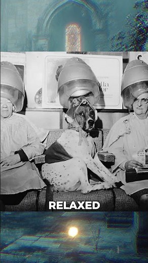 Hair Salons Captured in Time: Vintage Photos from the 1950s and 1960s #history #rarehistory #facts