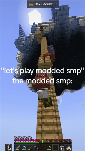 modded mc with the hbs be so peak #minecraft #minecraftsmp #moddedminecraft