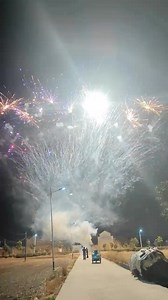 Wow, this firework is so good at being romantic! #Romantic Fireworks #Aesthetically Pleasing | Way Lux Fireworks