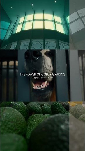 The Power of Color Grading | Apple log to Rec 709