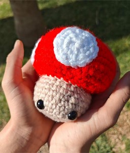 Mushroom Crochet Pattern - Etsy