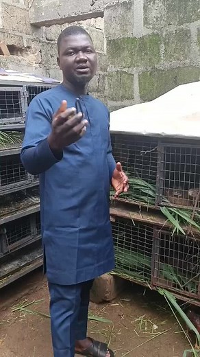 Building a Grasscutter Cage for Farm Animals