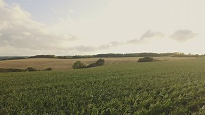 Farmland during the summer months - Free Stock Video