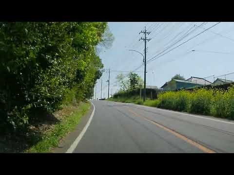 【森林浴ドライブ】千葉県立野通り【車載動画】