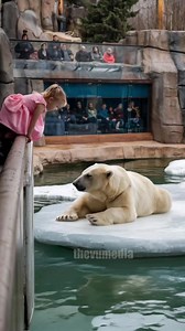 694K views · 6.8K reactions | The Imaginary Art Exhibit on Reels | Facebook