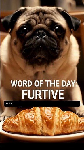 WORD OF THE DAY: FURTIVE