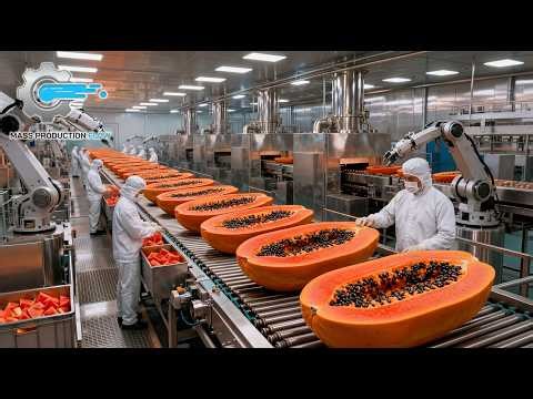 Inside a Modern Papaya Factory: From Farm to Dessert (The Whole Process) Explained