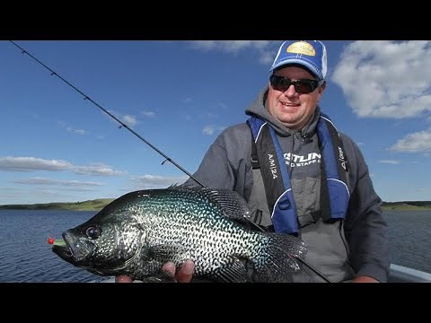 Catching Stacked Up Spring CRAPPIE (Lake Oahe) Jason Mitchell Outdoors
