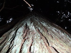 Philosophy of Education