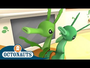 Octonauts - The Leafy Sea Dragons | Cartoons for Kids | Underwater Sea Education