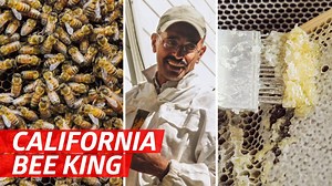 258K views · 909 reactions | Beekeeper Khaled Almaghafi has been making local honey in Oakland, California since 1992. He keeps hundreds of hives that produce honey to sell throughout the Bay Area. | Eater | Facebook