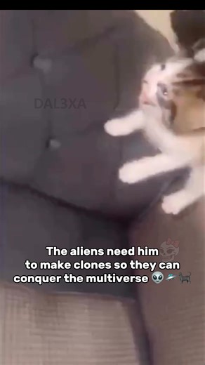 Alien invasion 👽#nowary