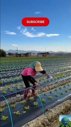 Smart Farming Hacks & Clever Agricultural Techniques You Need to See! #agritech #farming #viral
