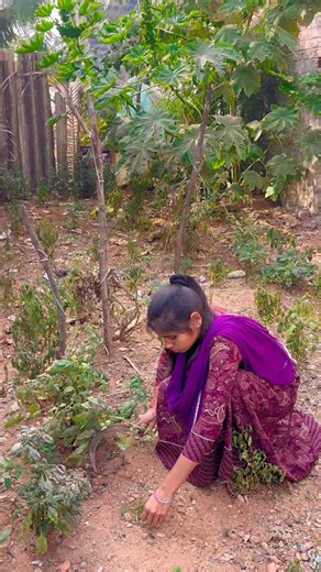 Prabhas Geeta on Instagram: "ಹೆಂಗ ಉಲ್ಟಾ ಹೊಡಿತಾಳೆ ನೋಡ್ರಿ ಗೀತಾ 🙆‍♂️🤣😂🤪 #couplevideos #coupletrending #couplejokes #couplecomedy #couplenewcontentvideo #coupleshorts #couplenewshorts #gangavathiyoutuber #gangavathicouple #uttarakarnatakacomedy #bengalore #bengaluru #trending #kannadacomedy #india #public #kannada #comedy #prabhasgeetayash New comedy content New comedy New couple videos Kannada trending reel Kannada trending shorts Kannada new jokes Indian new couple 