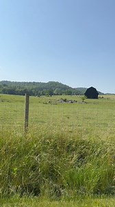 The drive down Big Moccasin is 😍 Scott County has some of THE most beautiful and peaceful backroads. Can you count riding old country backroads as a hobby? Asking for a friend 🙈 Check out all we have to offer in Scott County at https://www.explorescottcountyva.org | Scott County Tourism