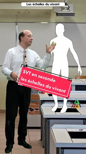 Echelles du vivant : Comprendre l'organisation des organismes