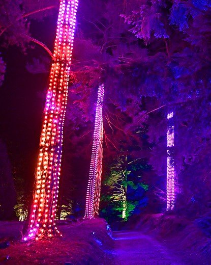 Step into a wintry wonderland like no other as Christmas at Bedgebury returns for 2025 ✨🎄 Wander through the 100-year-old National Pinetum as it comes alive with millions of lights, brand-new installations and magical festive soundscapes. Book your tickets today 👉 forestryengland.uk/bedgebury/christmas | Bedgebury Pinetum - Forestry England