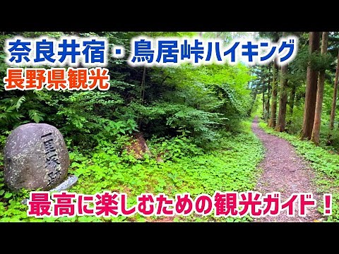 Hiking Torii Pass on Japan’s Samurai Road:A journey from Yabuhara to Narai