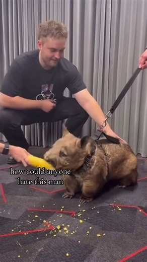 Sam Fender: A Musical Masterpiece