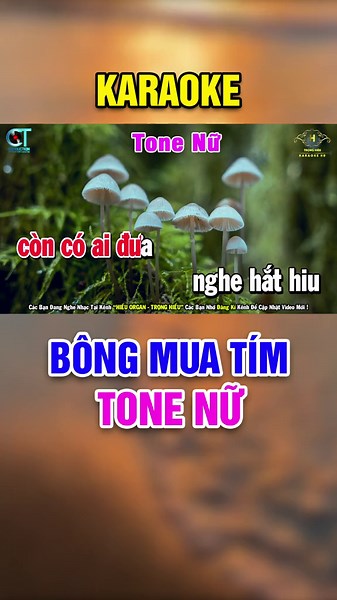 Bông Mua Tím Karaoke Tông Nữ - Hát Nhạc Trữ Tình