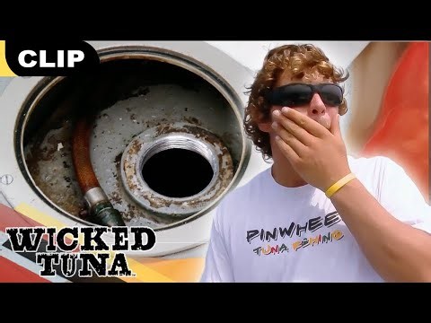 This Pinwheel's Out of Gas! | S2E12 | Wicked Tuna