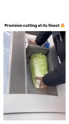 Thetrandlab48 on Instagram: "The post showcases a compact Chinese vegetable processing machine that shreds a full head of lettuce into uniform fine strips in under 10 seconds and slices a pumpkin into even 2mm-thick rounds, demonstrating industrial-grade precision for commercial kitchens. Uploaded on December 17, 2025, the video amassed 345,000 views and 362 likes within hours, sparking Indonesian-language replies admiring its speed and neatness, with one English comment humorously noting the ab