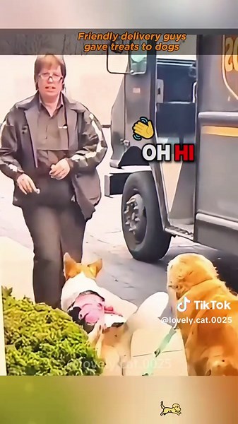 Lovely cat 0025 on TikTok